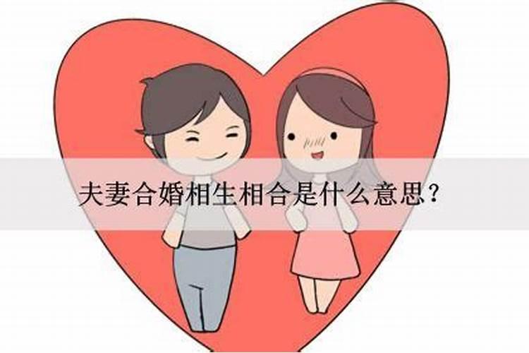 两性合婚什么意思