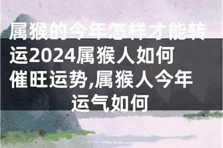 属猴今年运势怎么样