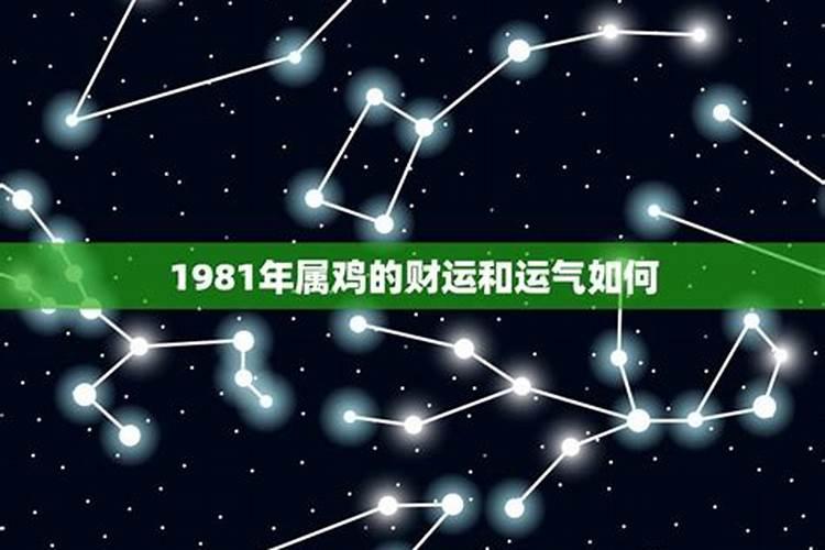 1981年出生的人运势及运程