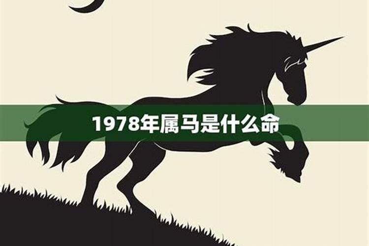 1978年属马哪年运势好