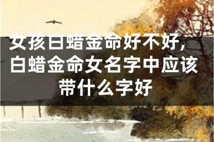 土命带什么运势好