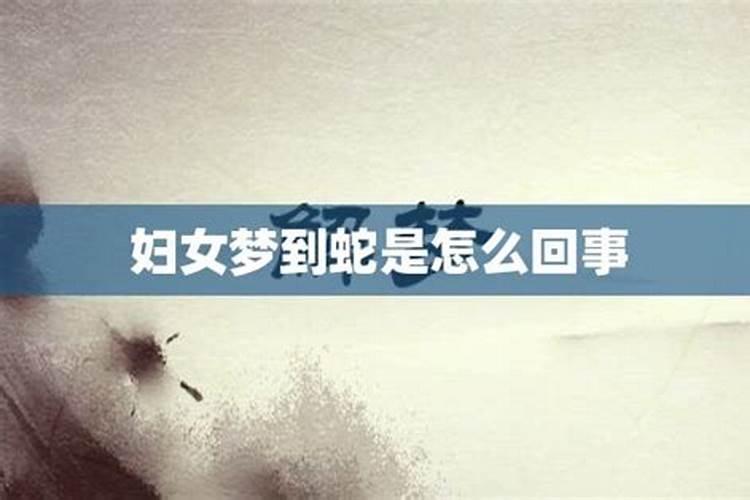 经常梦到蛇是怎么回事