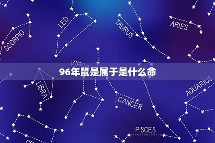 96年正月初一男命怎么样