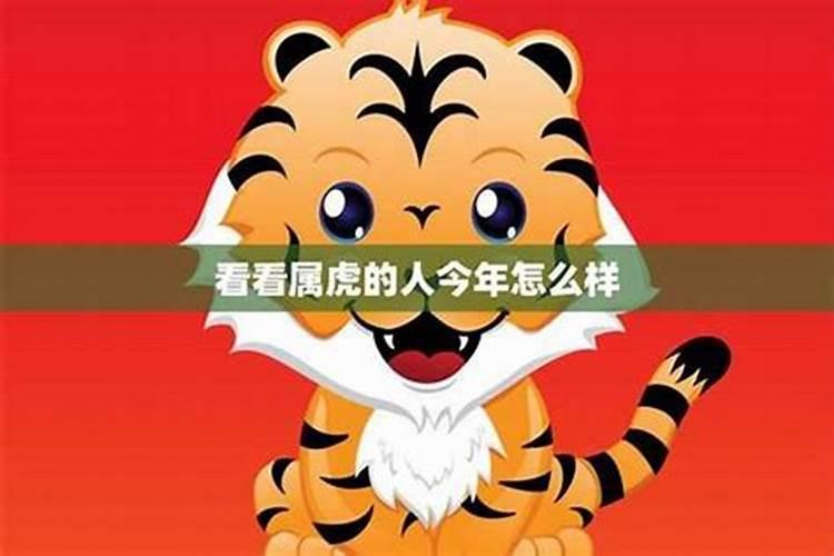 属虎公历9月出生的运势