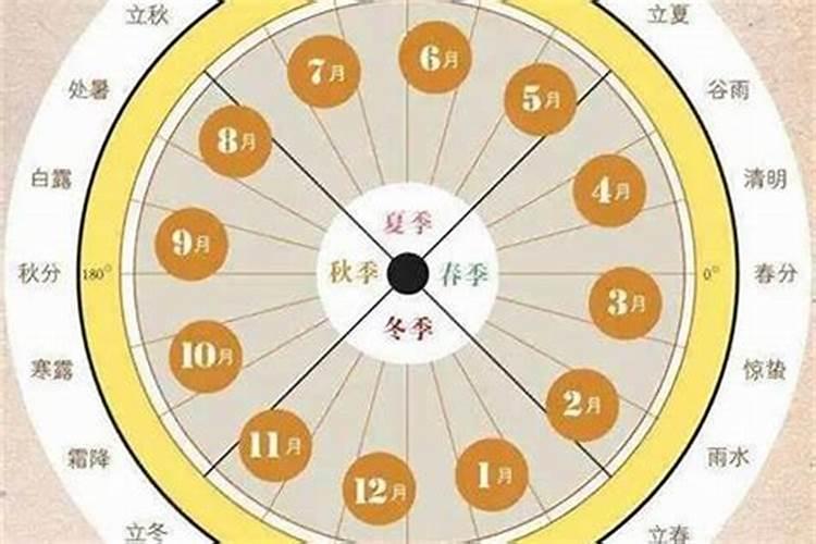 男命大运正官坐伤官