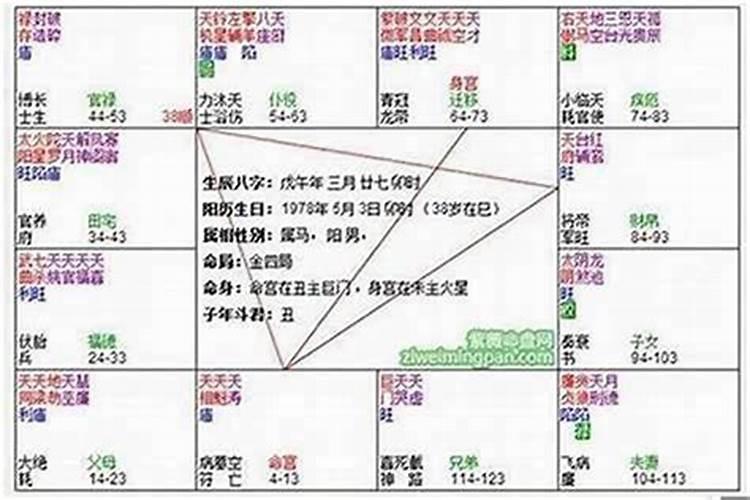 八字天干通根有霸气