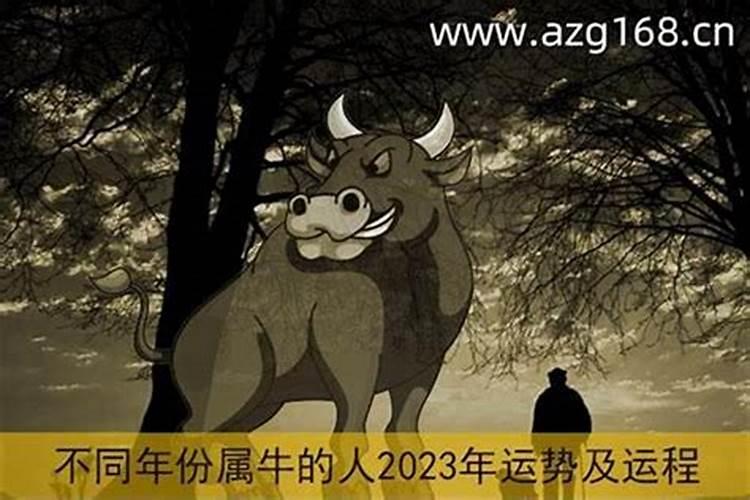 2022本命年运气很差