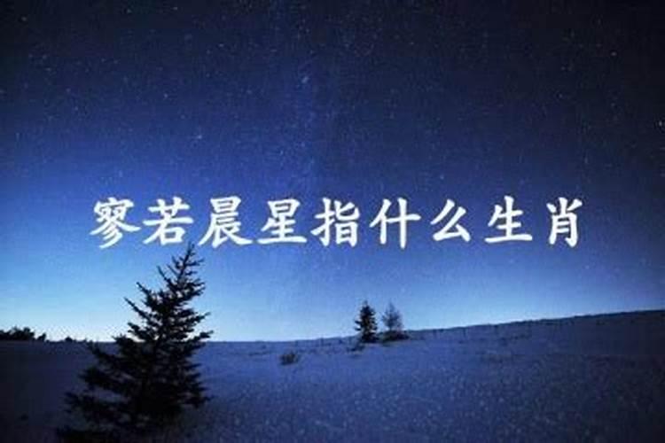 脚踏实地的什么生肖应该是