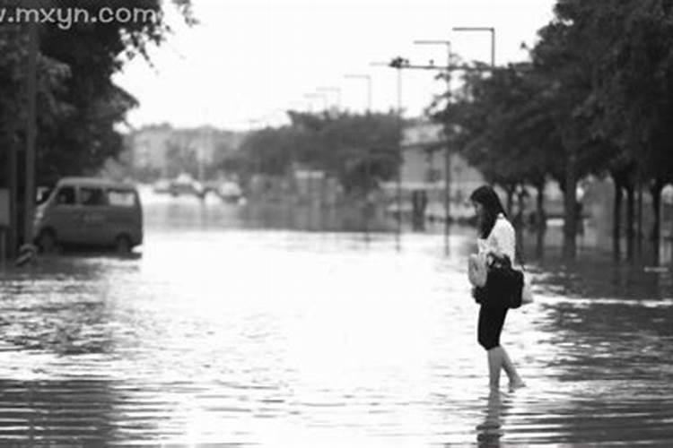 梦见回家的路上有水挡路