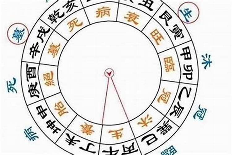 八字里的大运壬午是什么