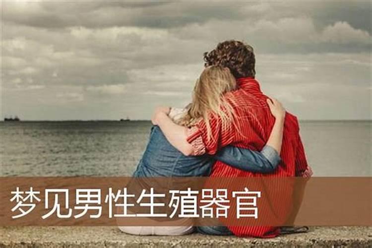 梦见男人的生殖部位是什么意思