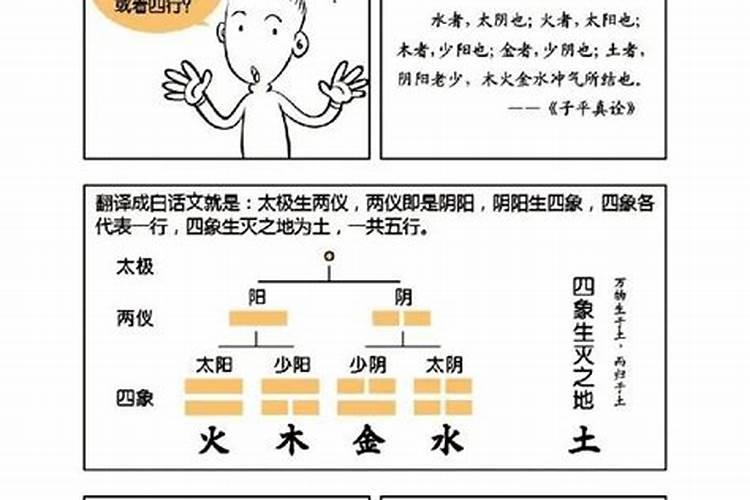 四柱八字基础理论