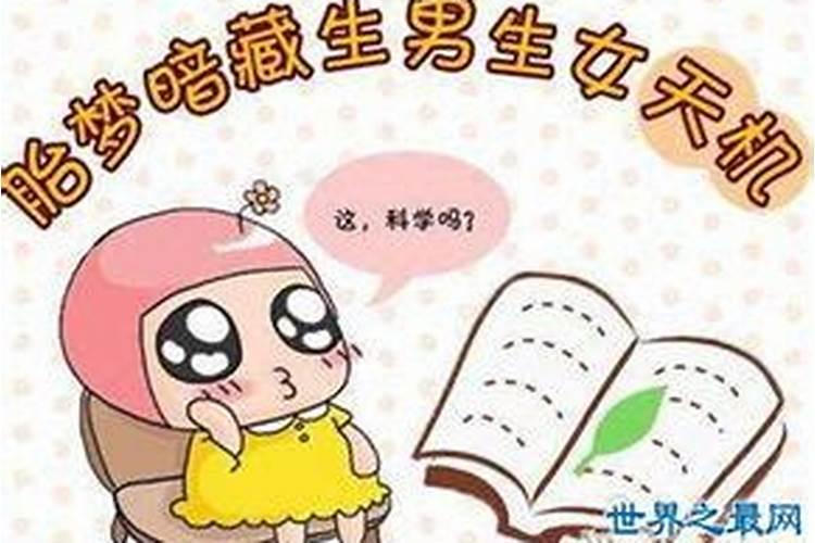 生肖羊的情感和婚姻如何