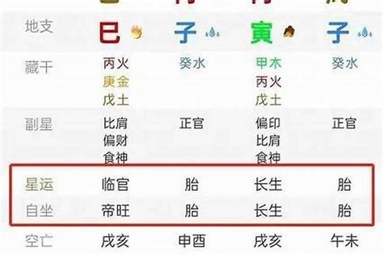 八字排盘中胎元什么意思