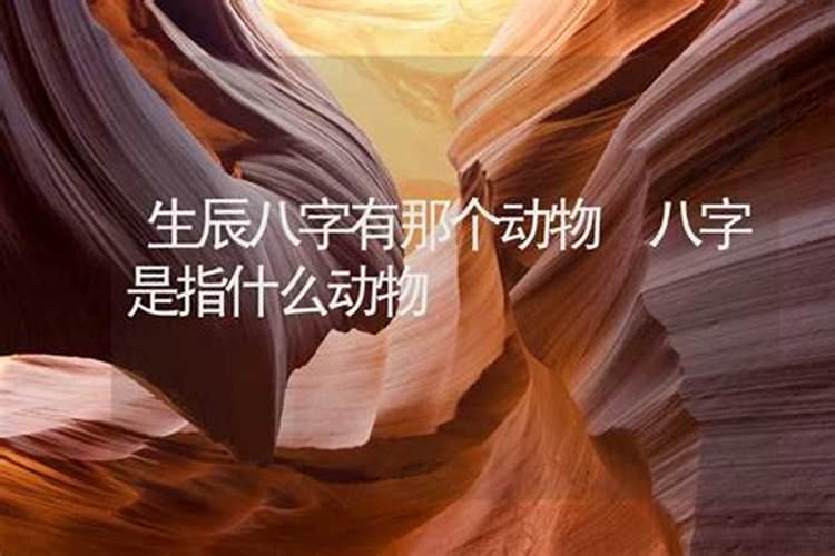 八字算命指什么