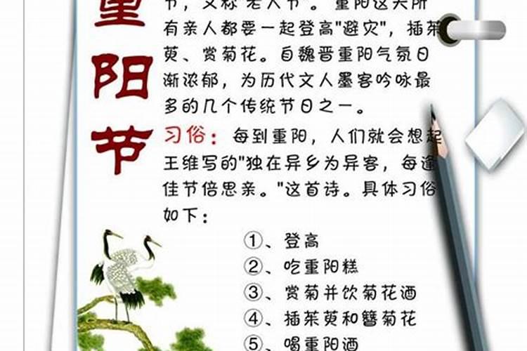 重阳节的由来和风俗简短