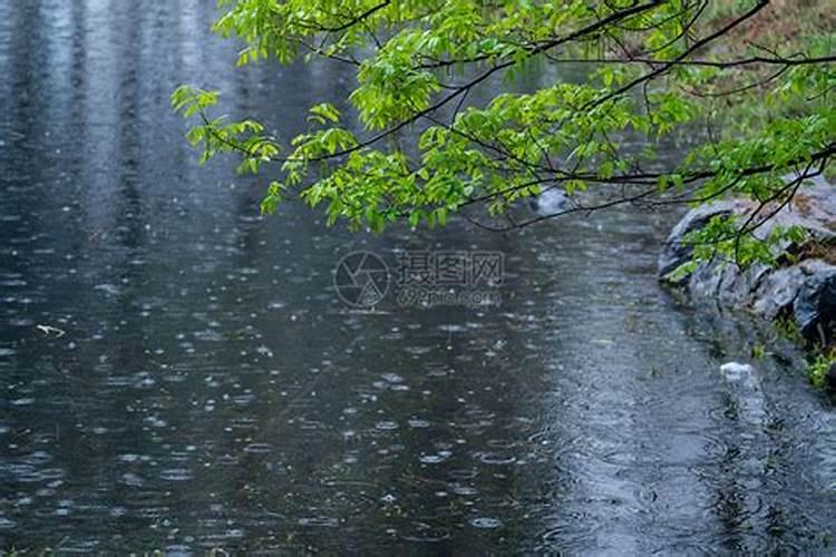 清明时节雨纷纷有几层意思