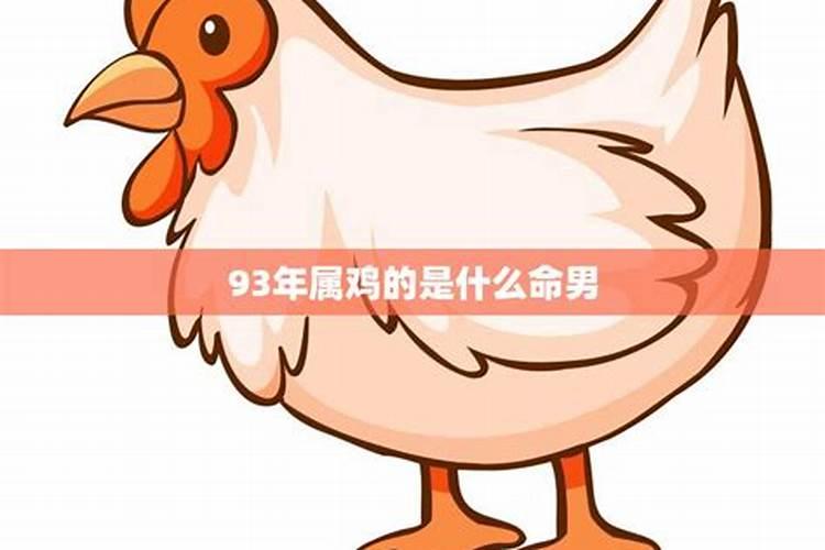 93年属鸡的命