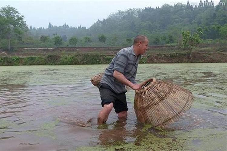 梦到自己在水里钓鱼