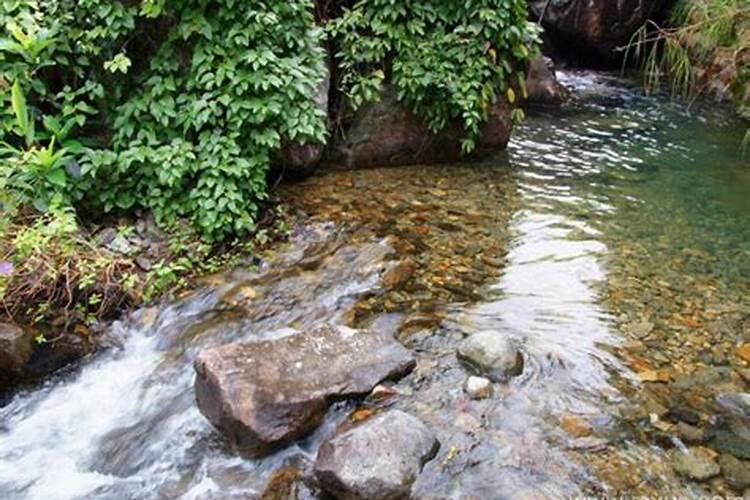 梦见山间清澈的流水