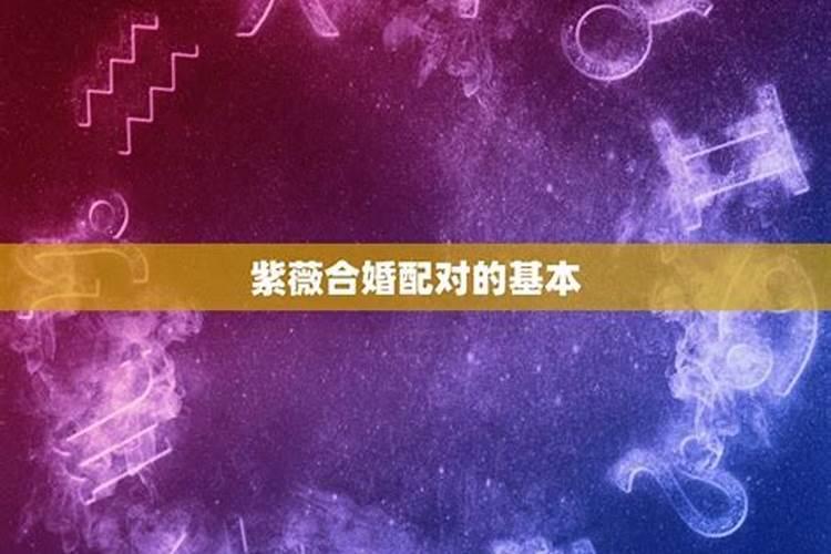 紫薇星盘怎么合婚