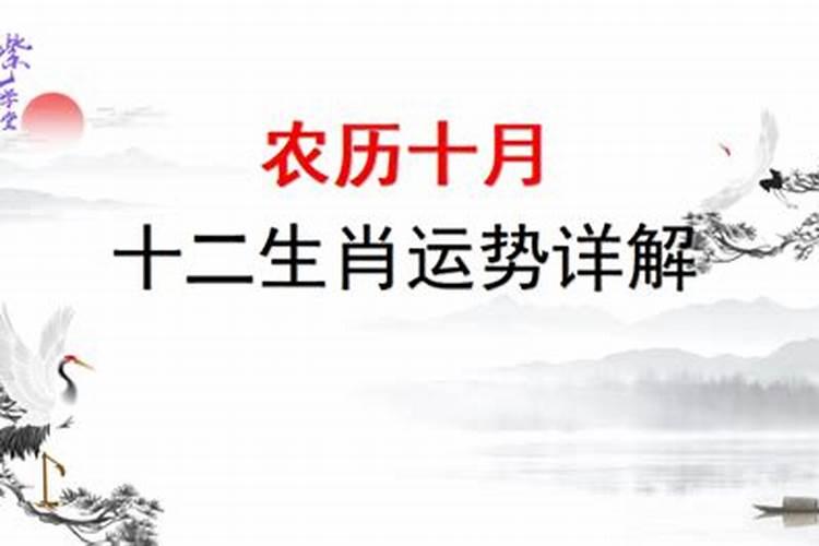 1983年农历十月初三出生运势