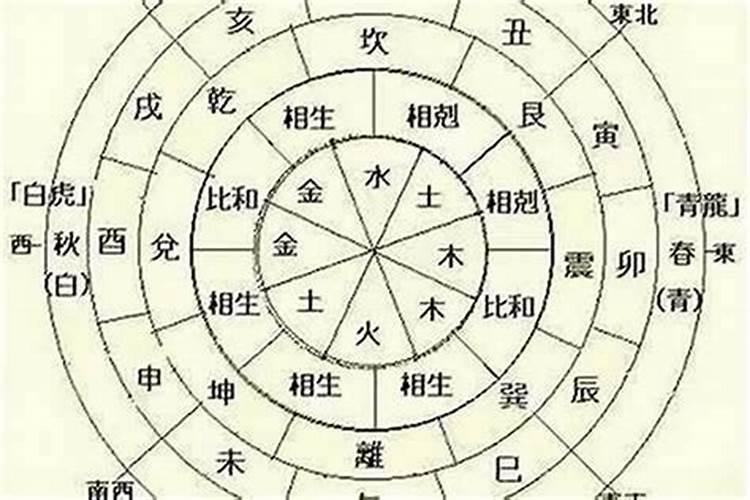 八字中四个兔的命