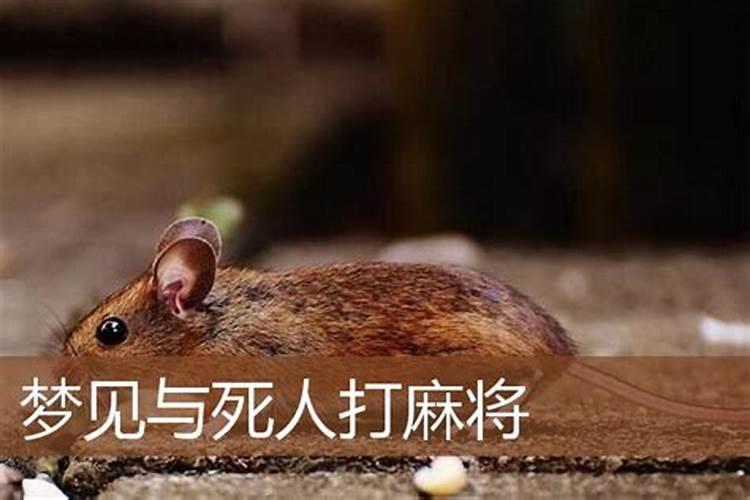 梦见死人回家和死人说话什么意思