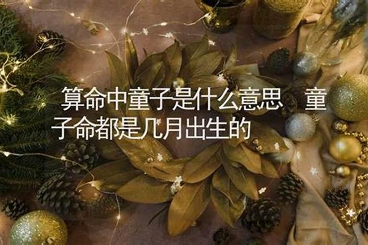 算命命里是童子是什么意思