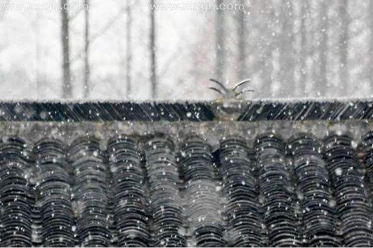 梦到雨夹雪是什么征兆女性