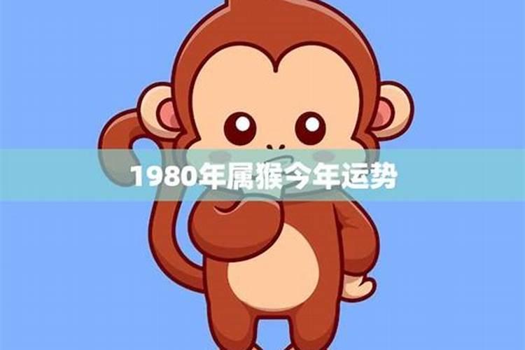 1980的猴在今年运势如何