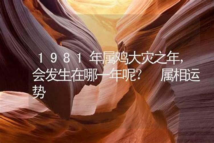 1981年哪年运势特别好