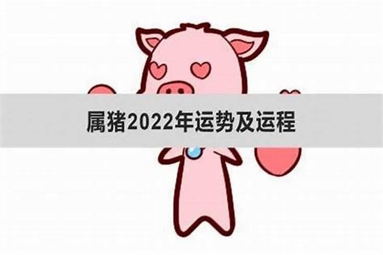 生肖猪6月运势2021年