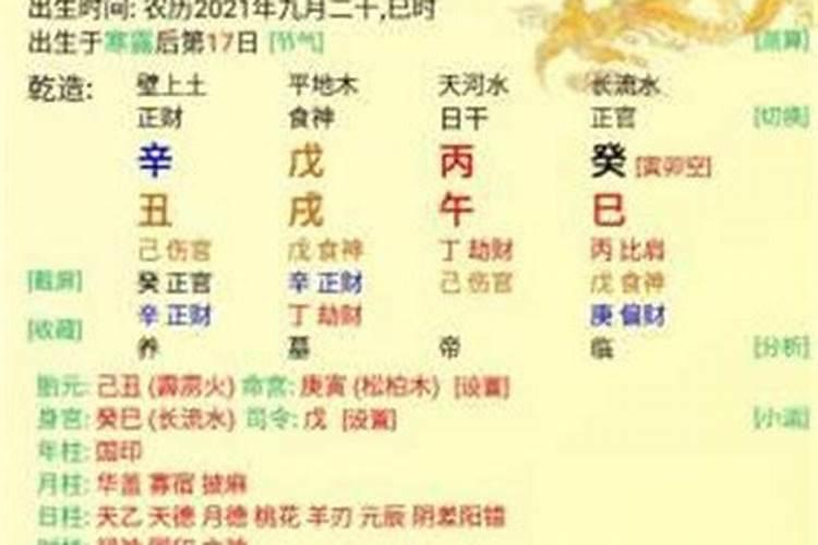 八字排盘宝怎么解释