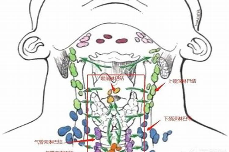 八字治疗法淋巴瘤