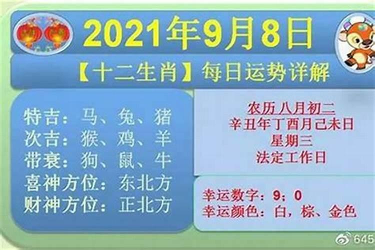 95和94年属相婚配吗