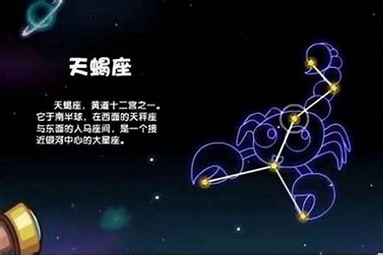 天蝎座男生跟哪个星座女生最配