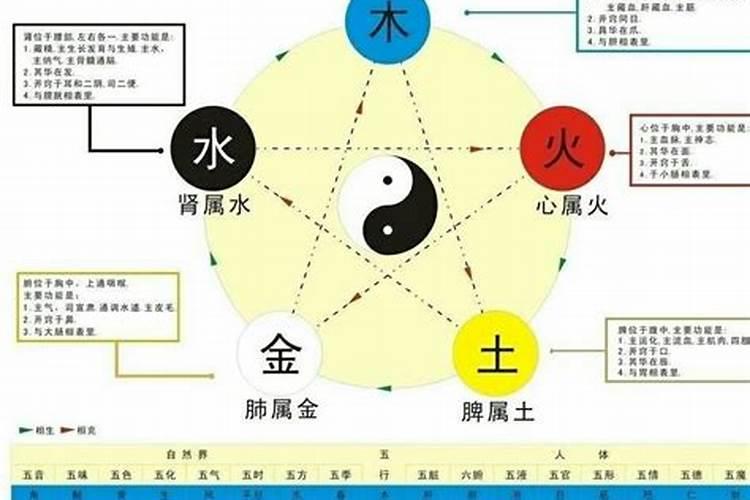 达五行属性是什么意思