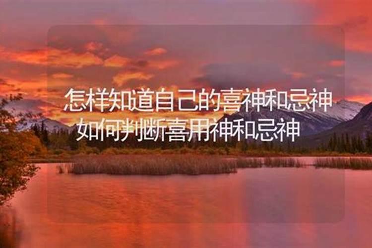 生肖属龙的四月出生的运程是什么