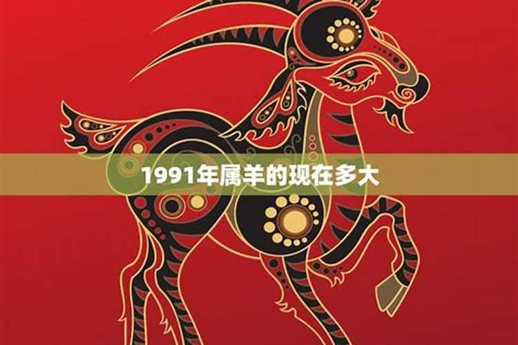 1991年属羊人一生运势运程