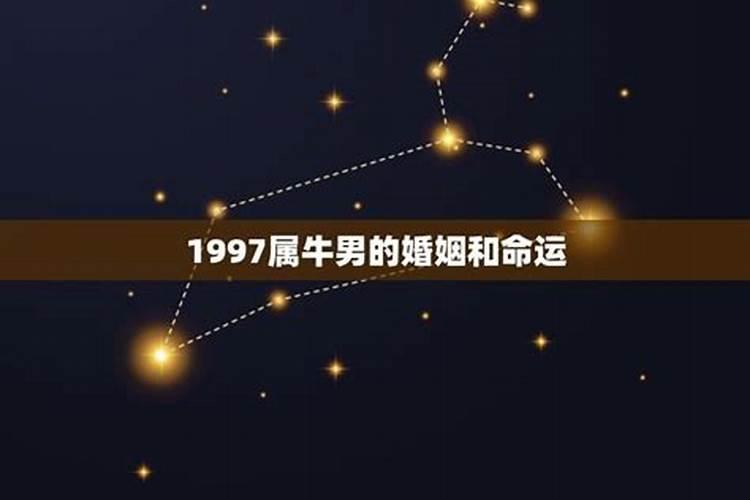 1997属牛人一生运势