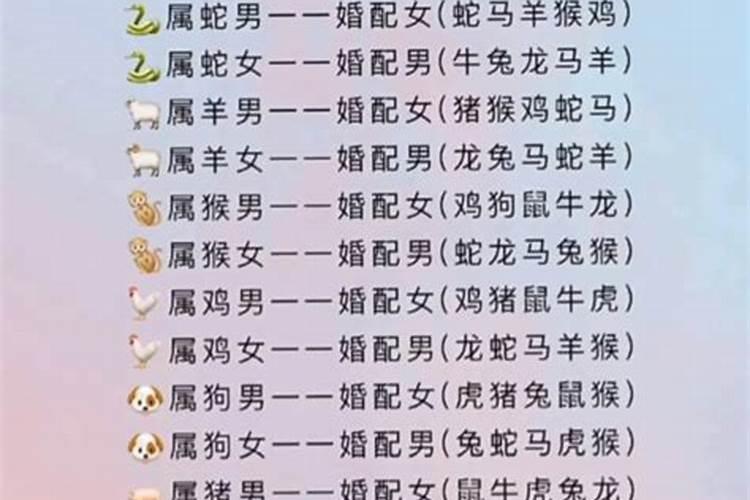 十二生肖最佳婚配