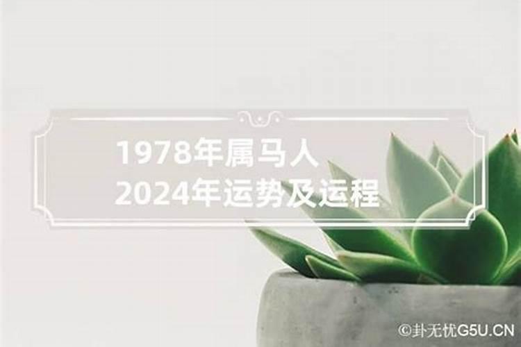 癸亥猪生肖2024年运程