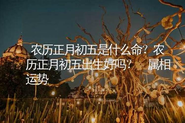 属兔正月初五的命运