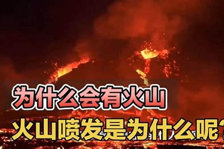 己发现最高的火山什么生肖