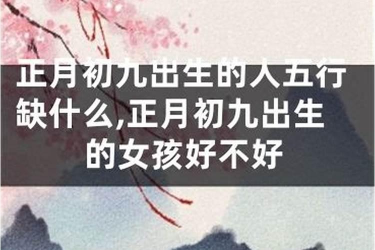 正月十五出生属马