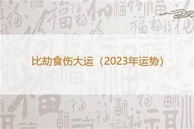 属鼠人农历8月运势如何呢