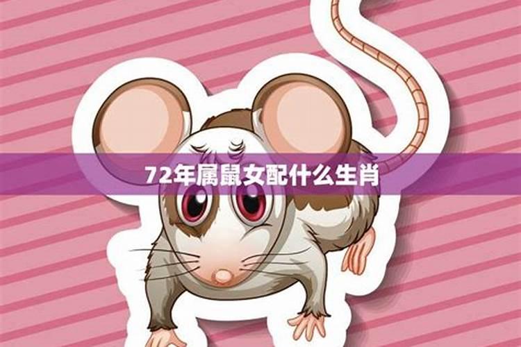 72年属鼠生肖运势如何