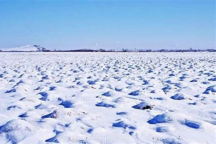 梦见大雪满地很厚很白