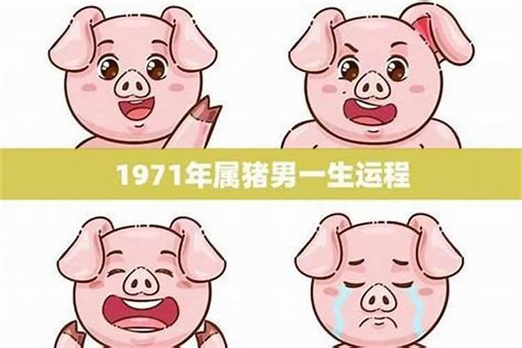 1971年猪男一生运势